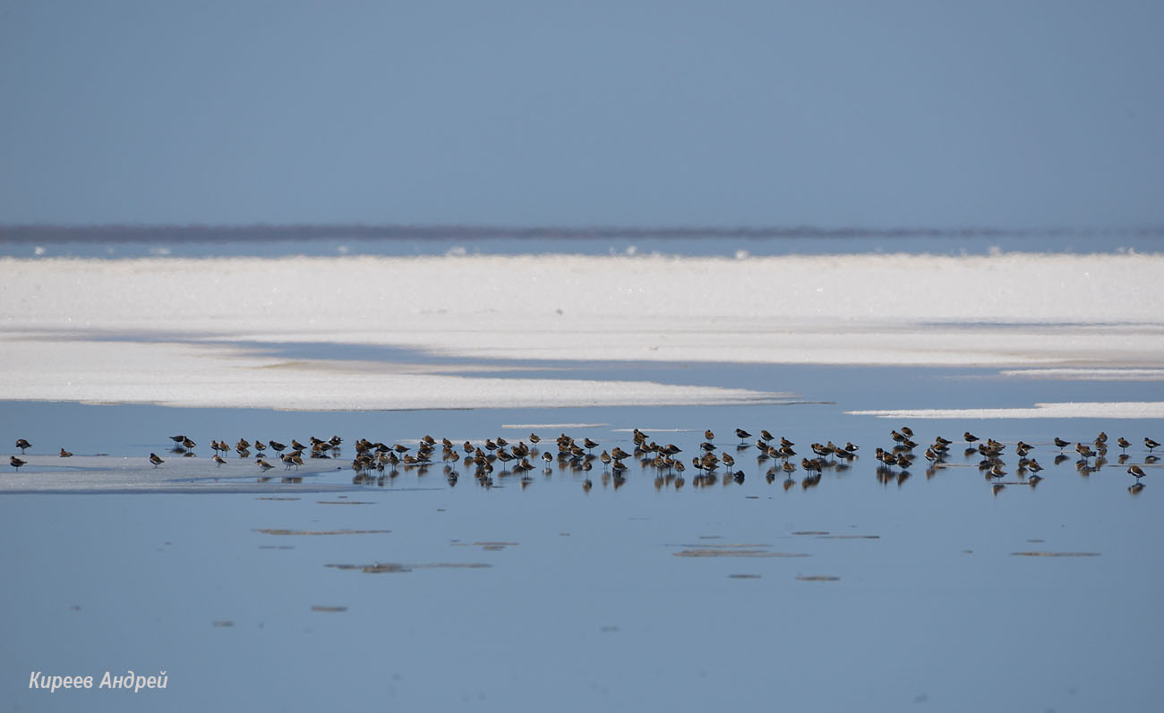 Lake Elton (Озеро Эльтон)